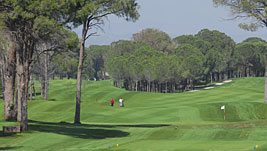 Perfektes Golfvergn�gen � gleich im Dutzend