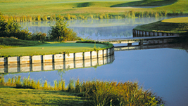 Abends äsen auf dem Green die Rehe. Abends äsen auf dem Green die Rehe.