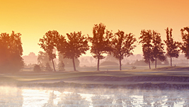 Eine Straße für Meister Adebar. Eine Straße für Meister Adebar.