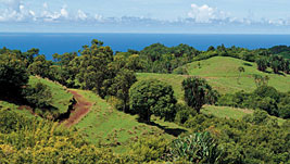 Faszination pur � �ber und unter Wasser