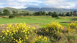 Es gr�nt so gr�n