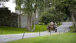 Kutschfahrt, Bogenschie�en oder Wracktauchen