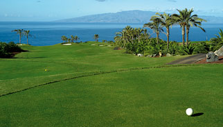 Golf Course, Abama Golfresort, Teneriffa, Kanaren